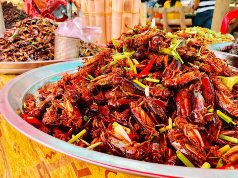 斯昆旅游攻略图片