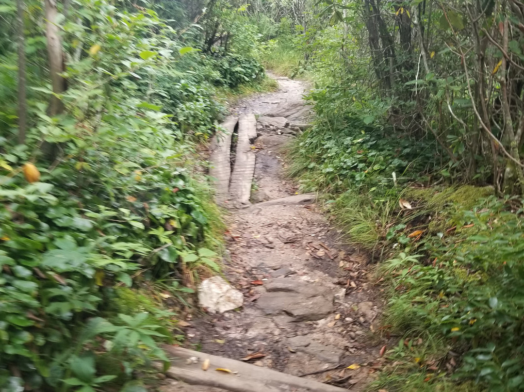 Graveyard Fields Hike & Waterfalls-Canton必去景点