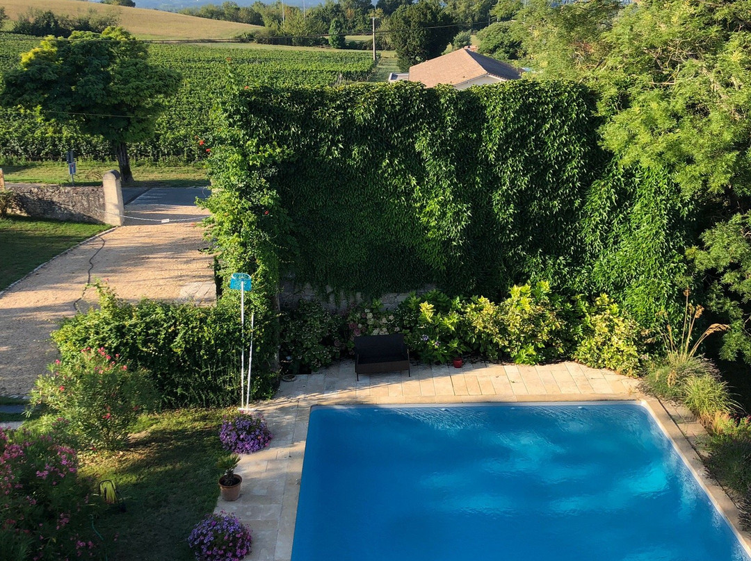 Chateau Richelieu主图