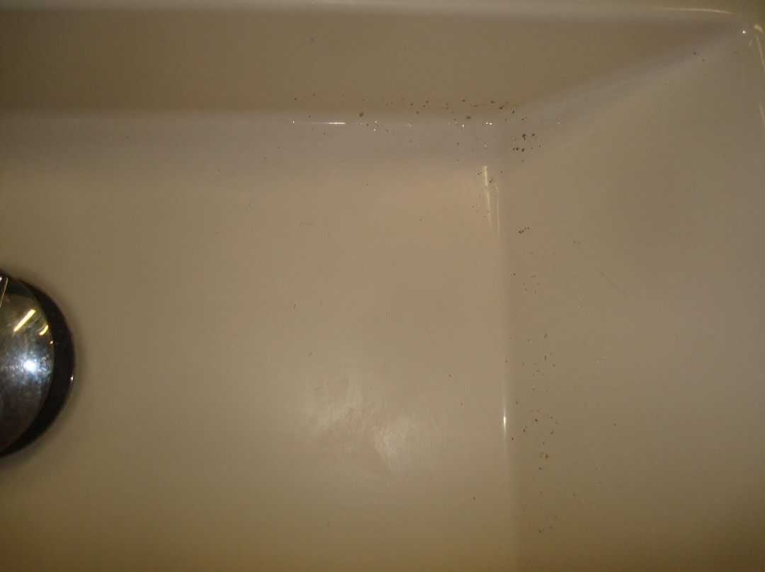 Les Terrasses d'Atlanthal主图