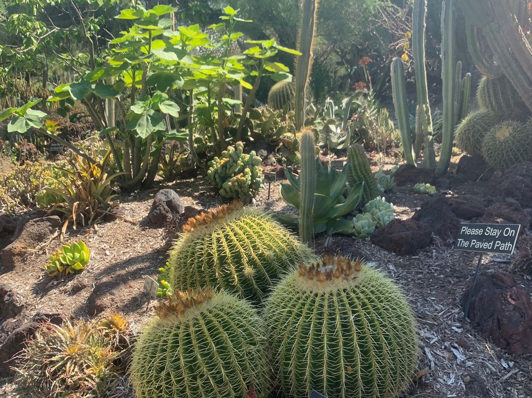 The Huntington Desert Garden-圣玛利诺必去景点