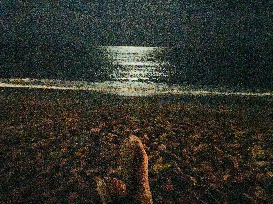 Sandy Shore Motel主图