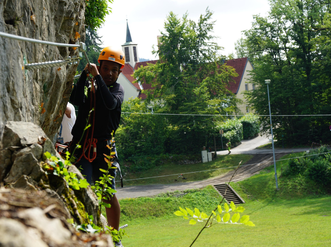 Waldseilpark Wörthersee景点图片