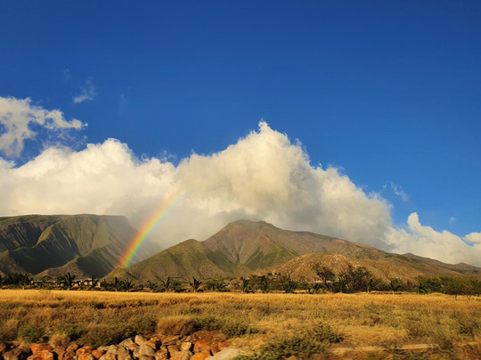 VERONICA GAYA-马洛卡岛必去景点