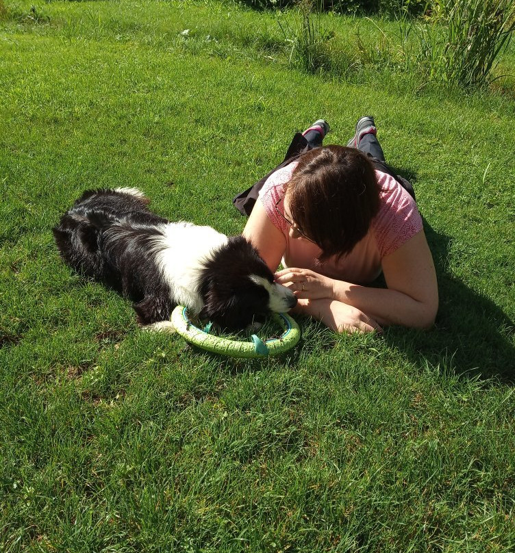 Chalet Le Dorf主图