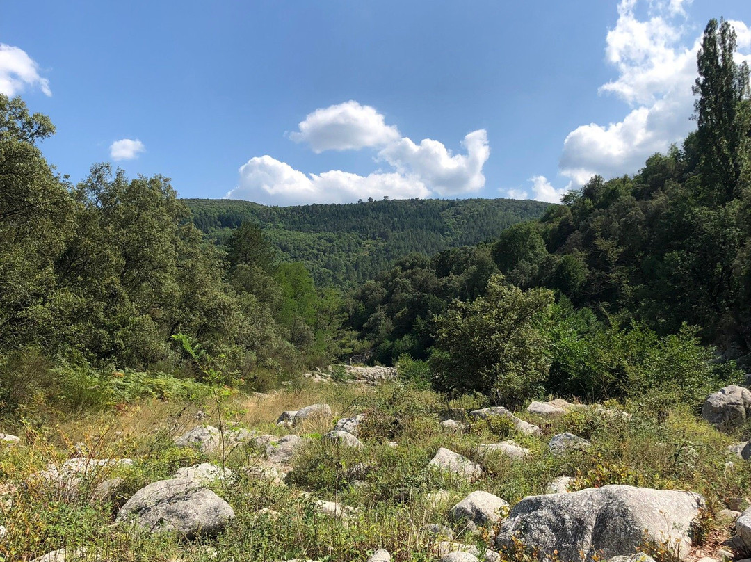Parc National des Cévennes-Florac必去景点