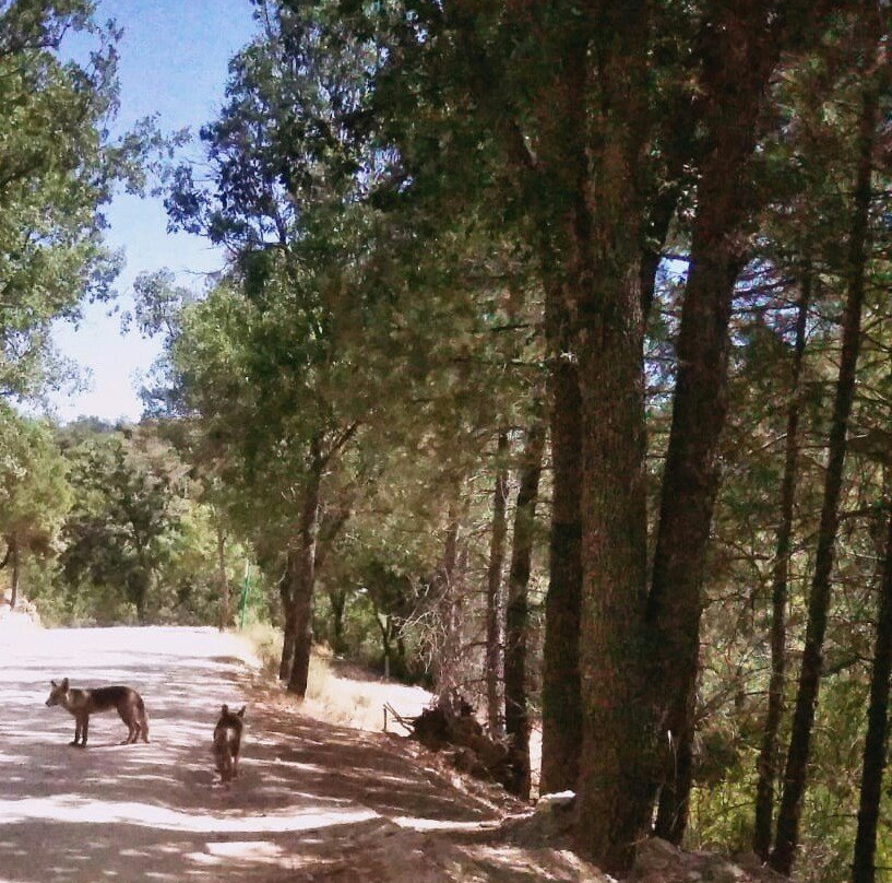 eBike Cazorla-卡索拉必去景点