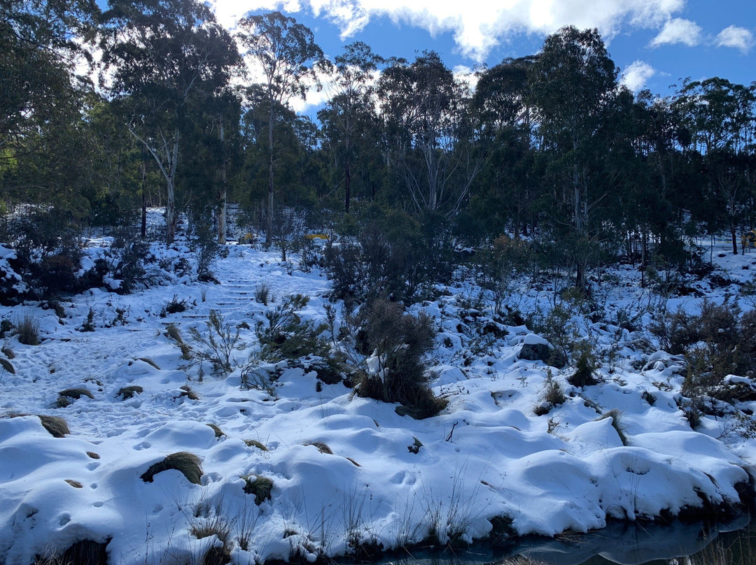 Corin Forest-Paddys River必去景点