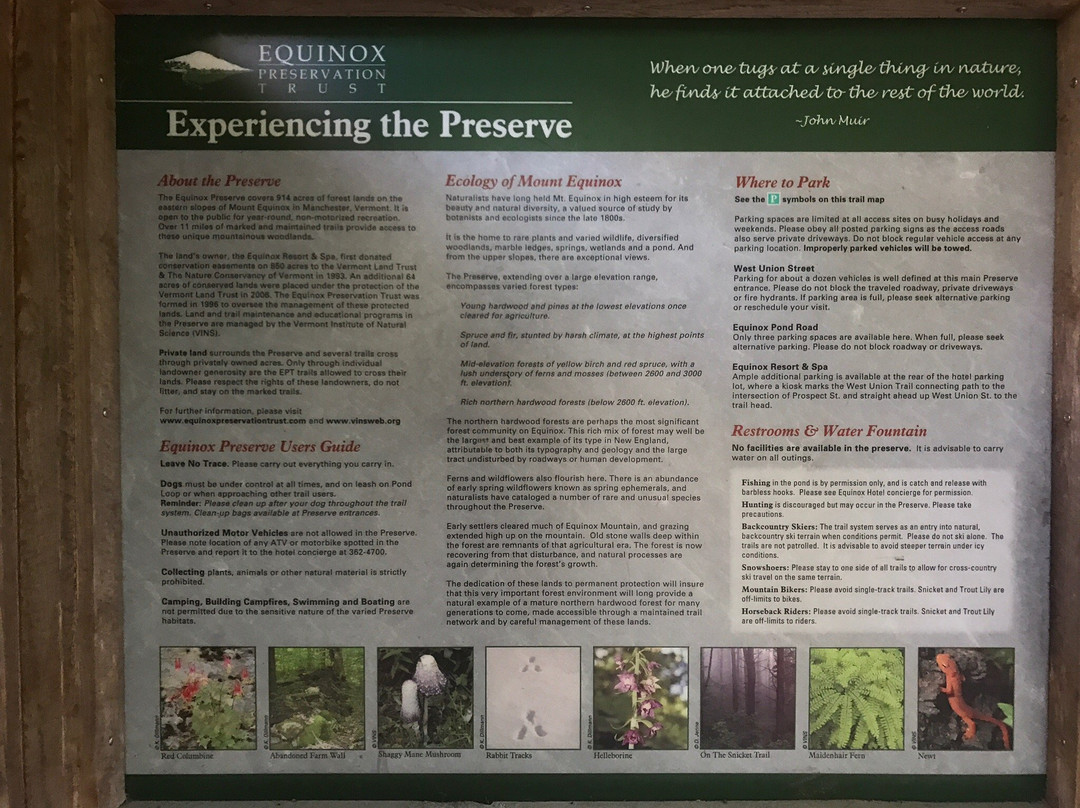 Equinox Preservation Trust-曼彻斯特必去景点