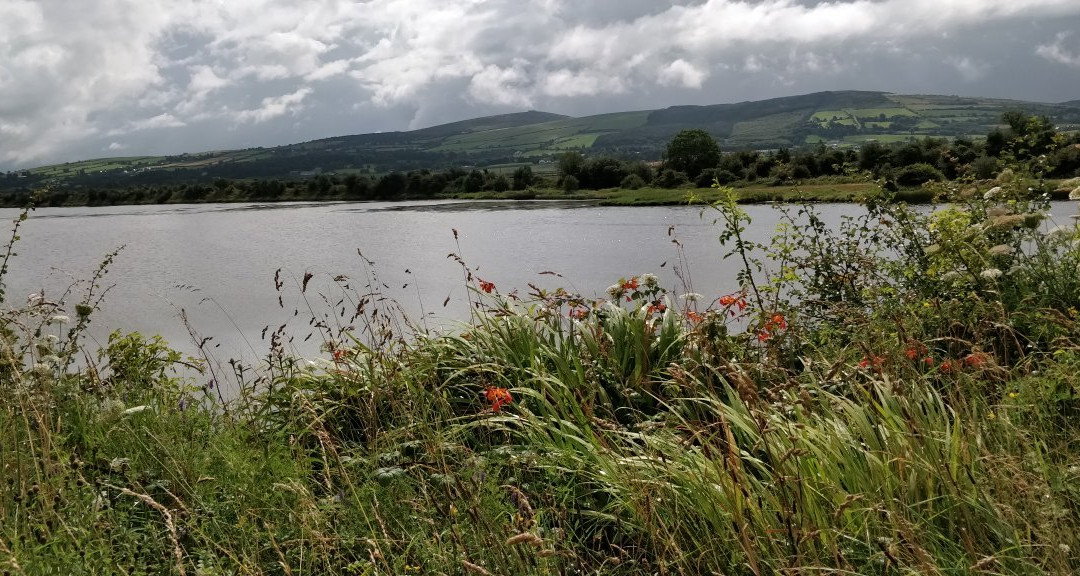 Inch Wildfowl Reserve-Burt必去景点