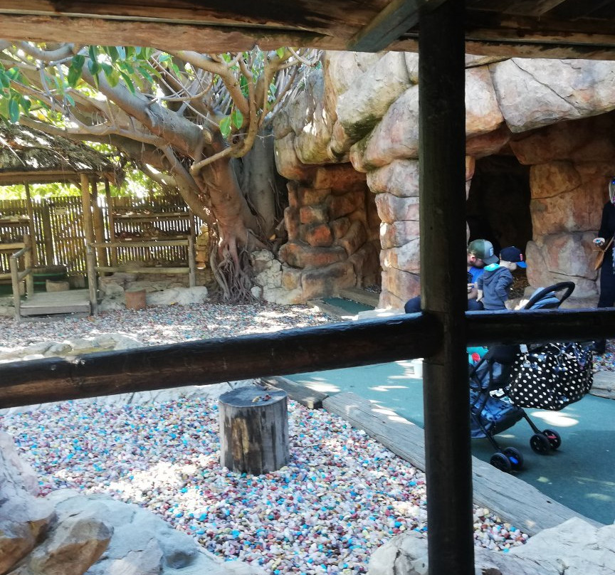 Scratch Patch & Mineral World-西门镇必去景点