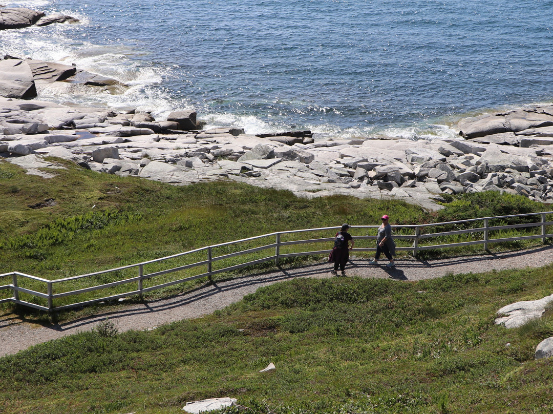 Port aux Basques Marine Excursions Inc.景点图片