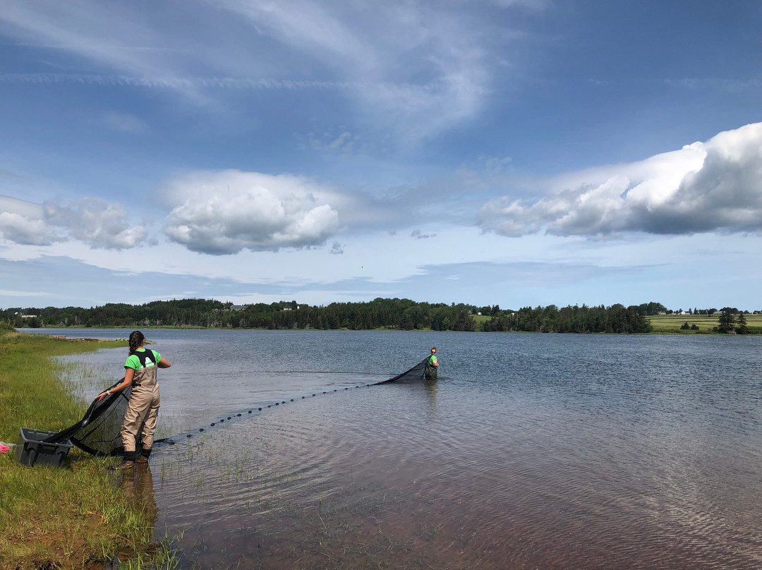 Basin Head - Beyond the Beach-Souris必去景点