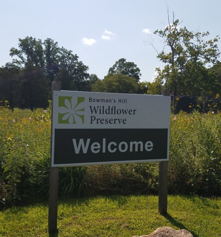 Bowman's Hill Wildflower Preserve景点图片
