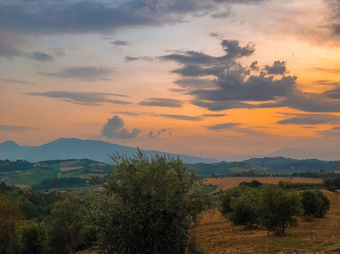 Agriturismo Villa Bussola主图