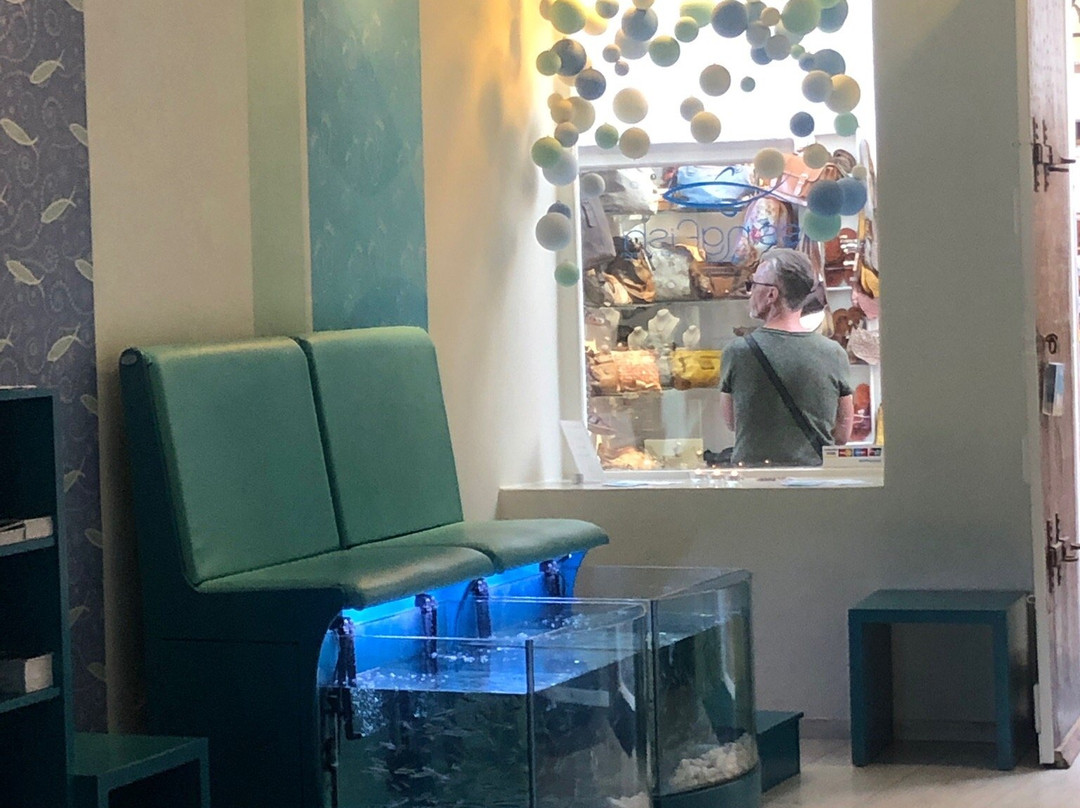 Kissingfish-费拉必去景点