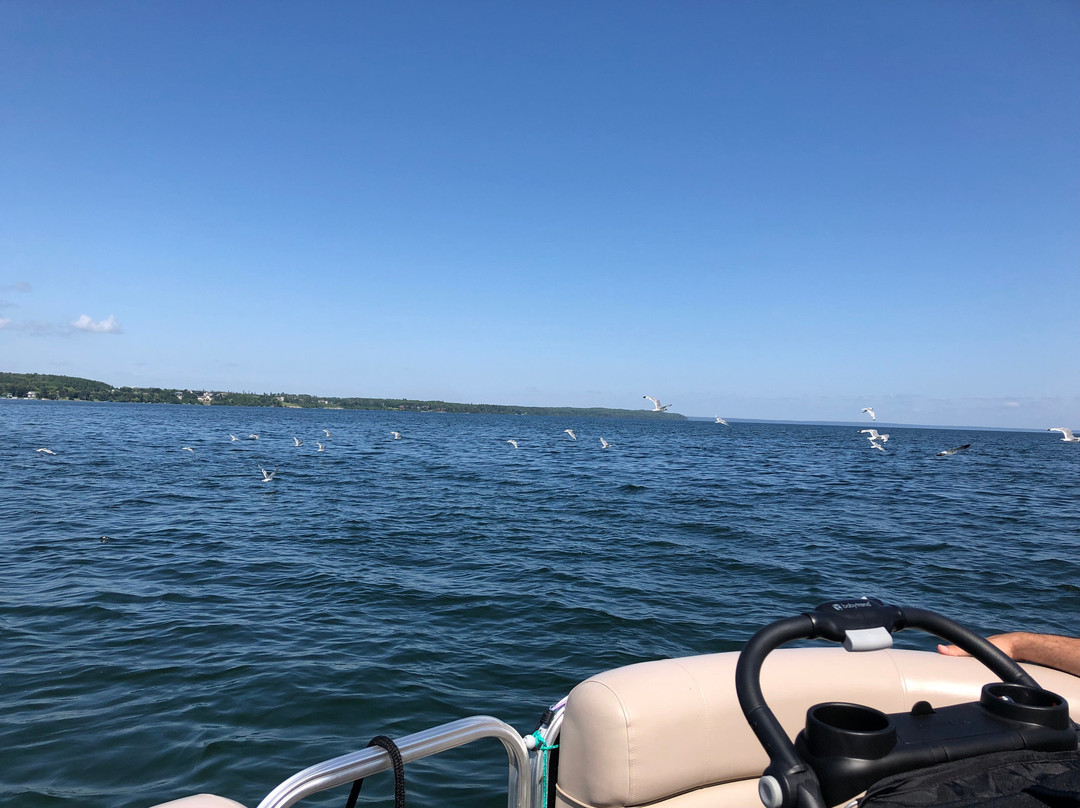 Wicked Watersport Rentals-冷湖必去景点