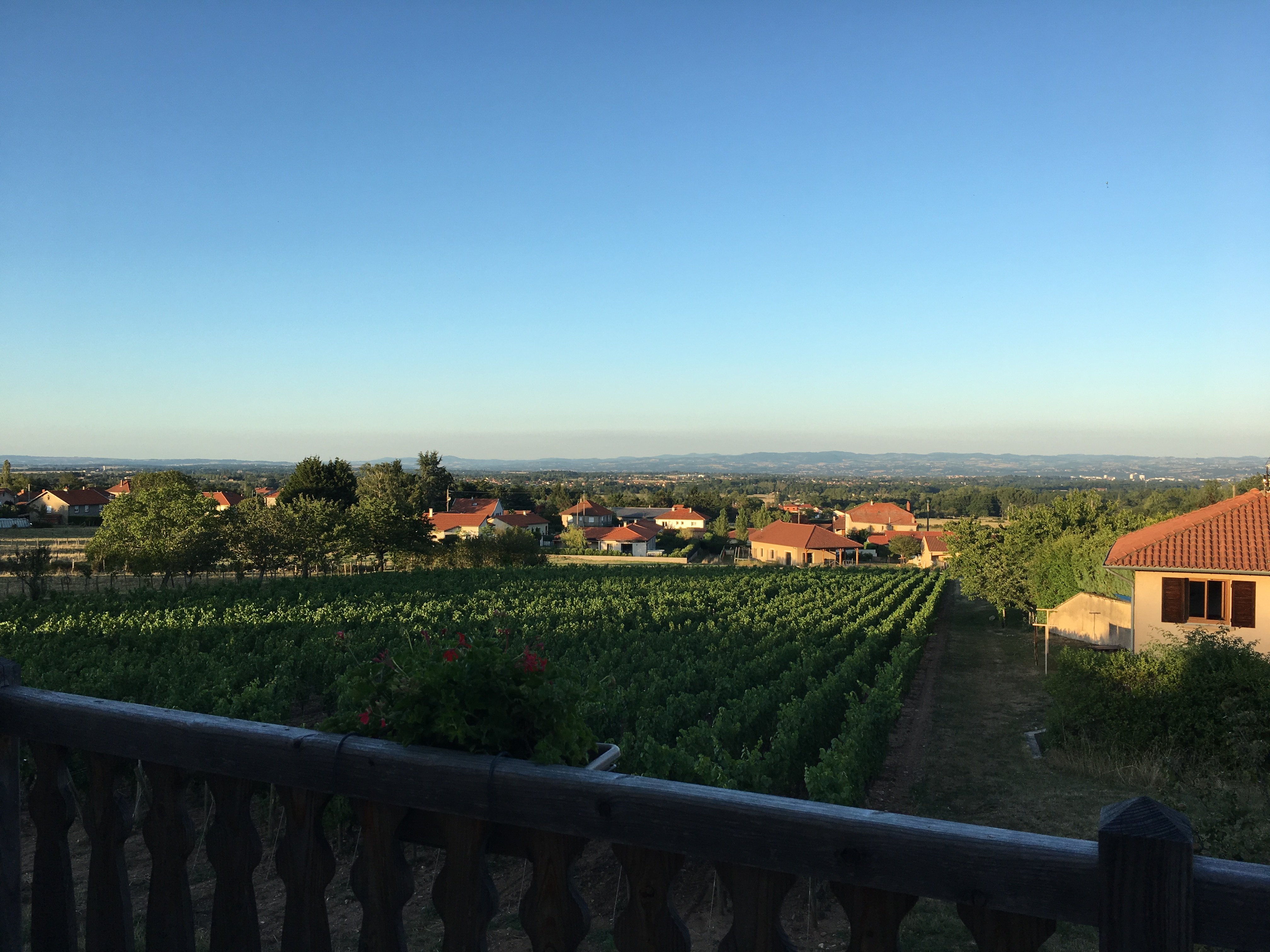 Domaine Delabaude-官方