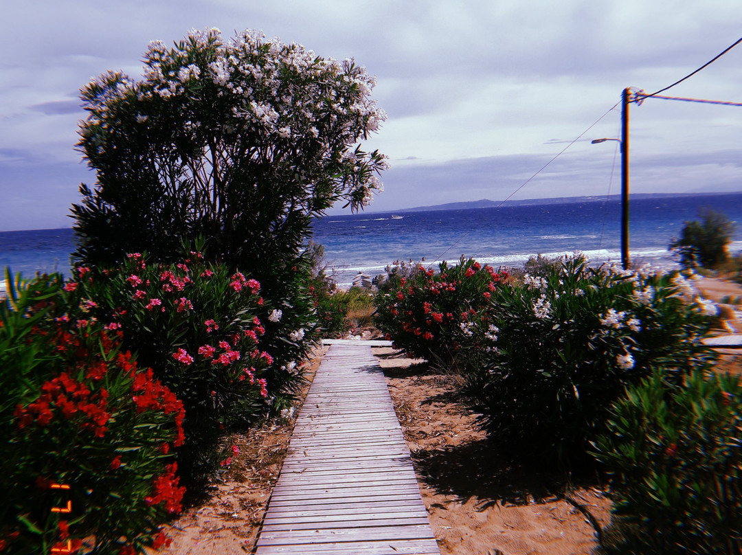 Banana Beach-瓦西里科斯必去景点