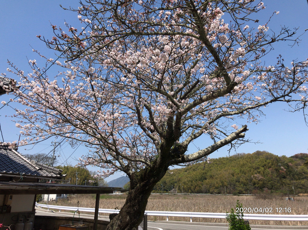 Ōkuboji Temple景点图片