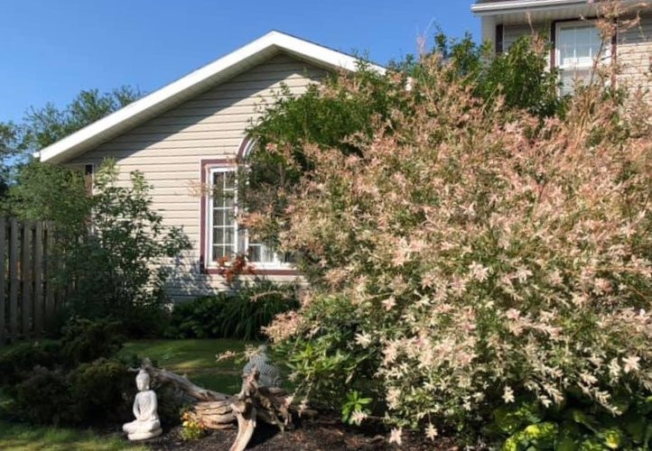 Driftwood Heights B & B主图