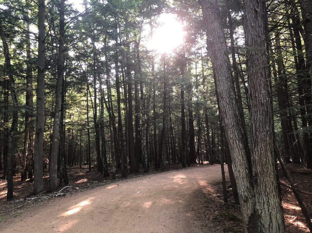 Three Eagle Trail-Three Lakes必去景点
