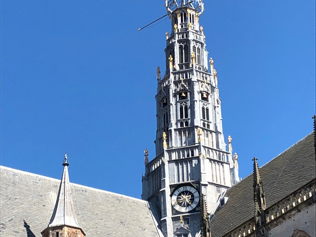 Sint-Bavokerk (Church of St. Bavo)景点图片