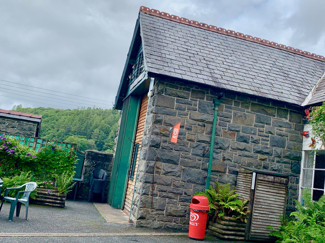 RSPB Lake Vyrnwy-奥斯沃斯特必去景点