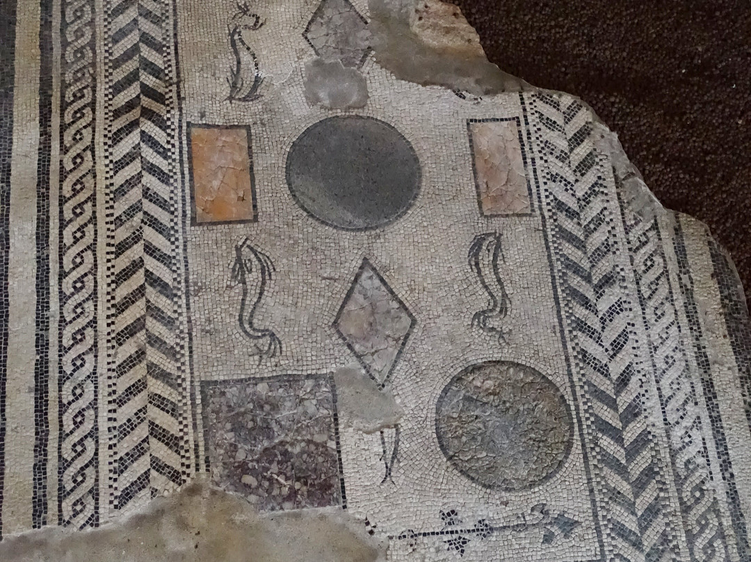 Domus Romana-阿斯蒂必去景点