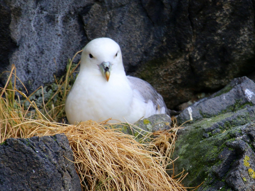 Seatours-Stykkisholmur必去景点