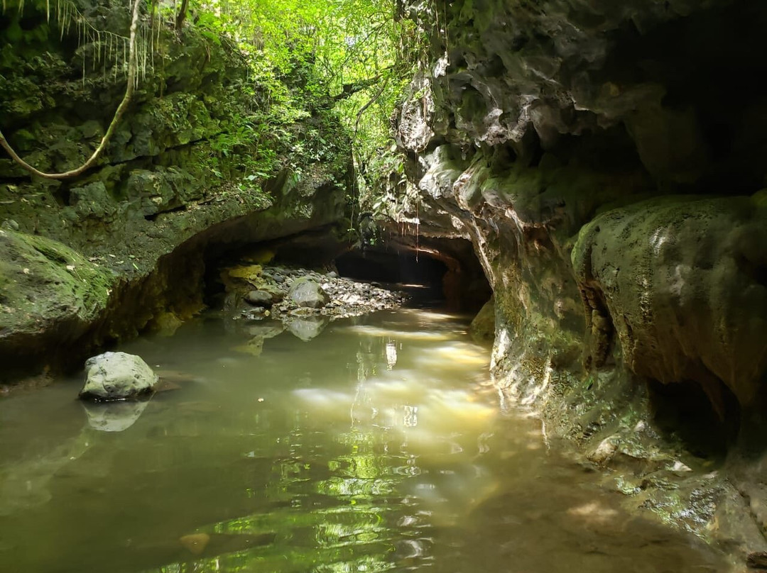 Cuevas De Bayano景点图片