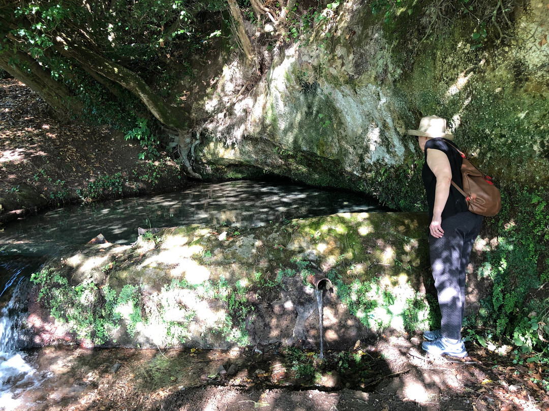 Sorgenti della Nova-Farnese必去景点