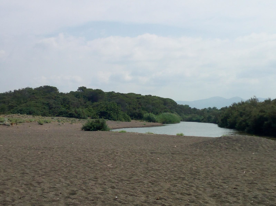 Spiaggia del Seggio景点图片