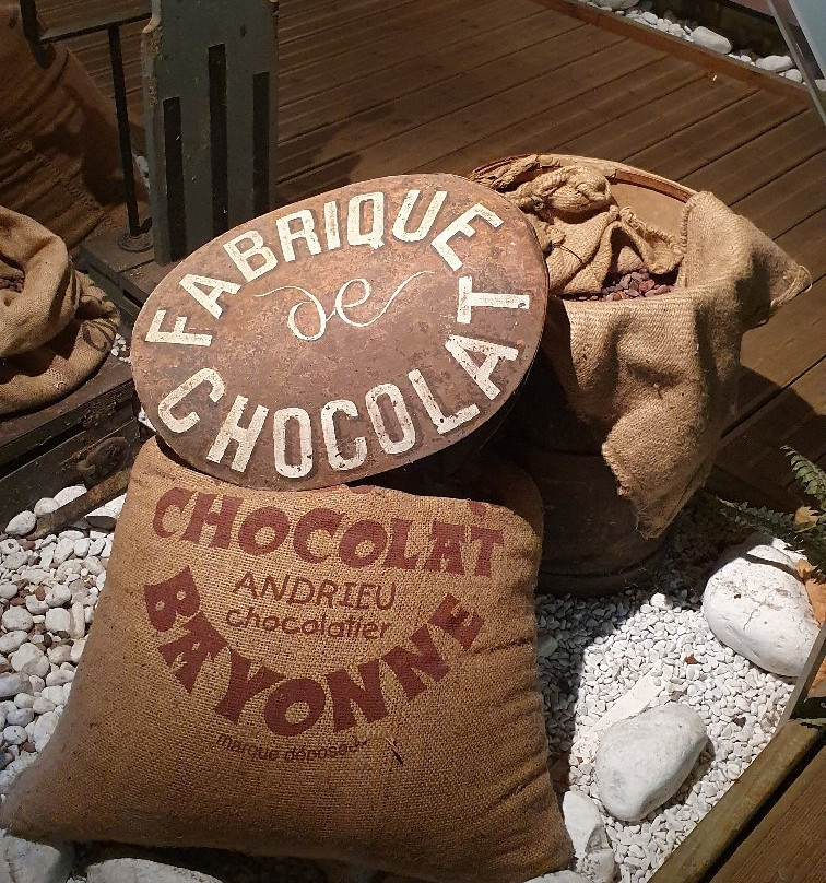 L'atelier du chocolat de bayonne景点图片
