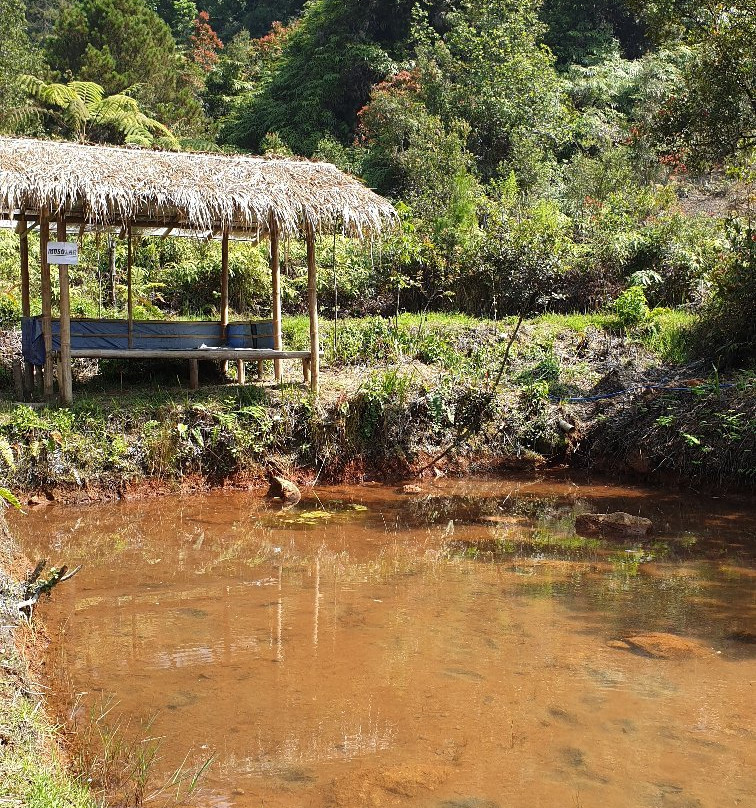 Darajat Crater Peak-牙律必去景点