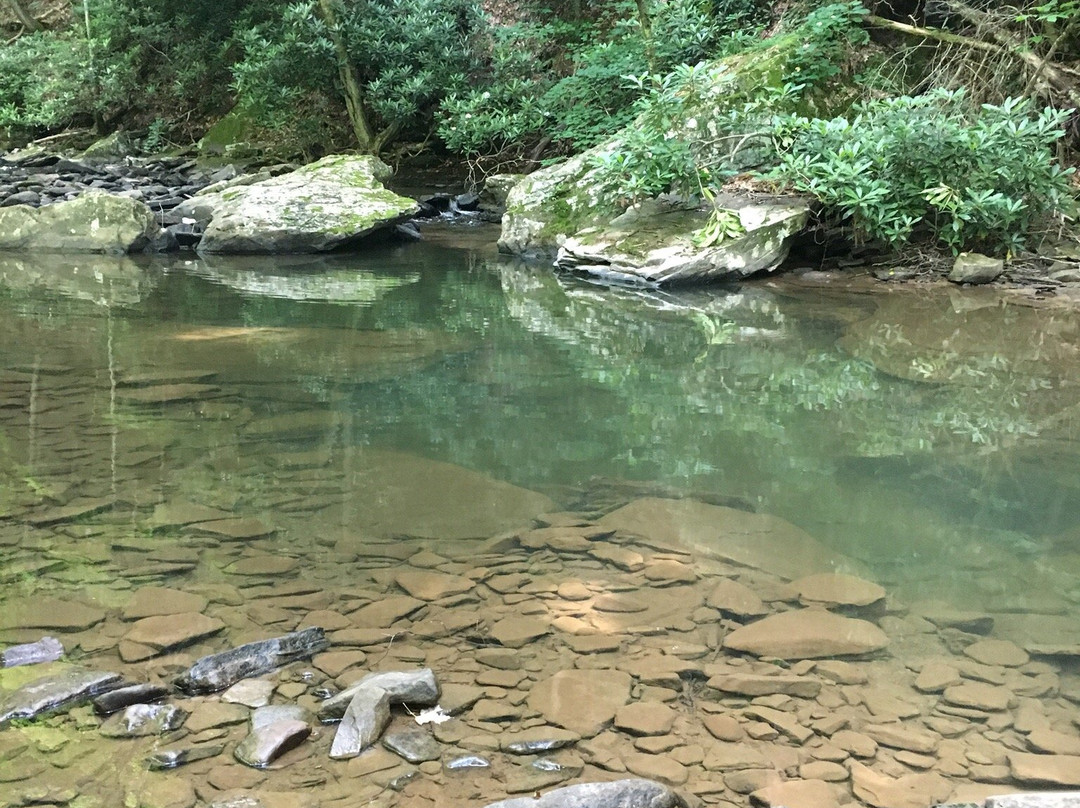 Camp Creek State Park & Forest景点图片