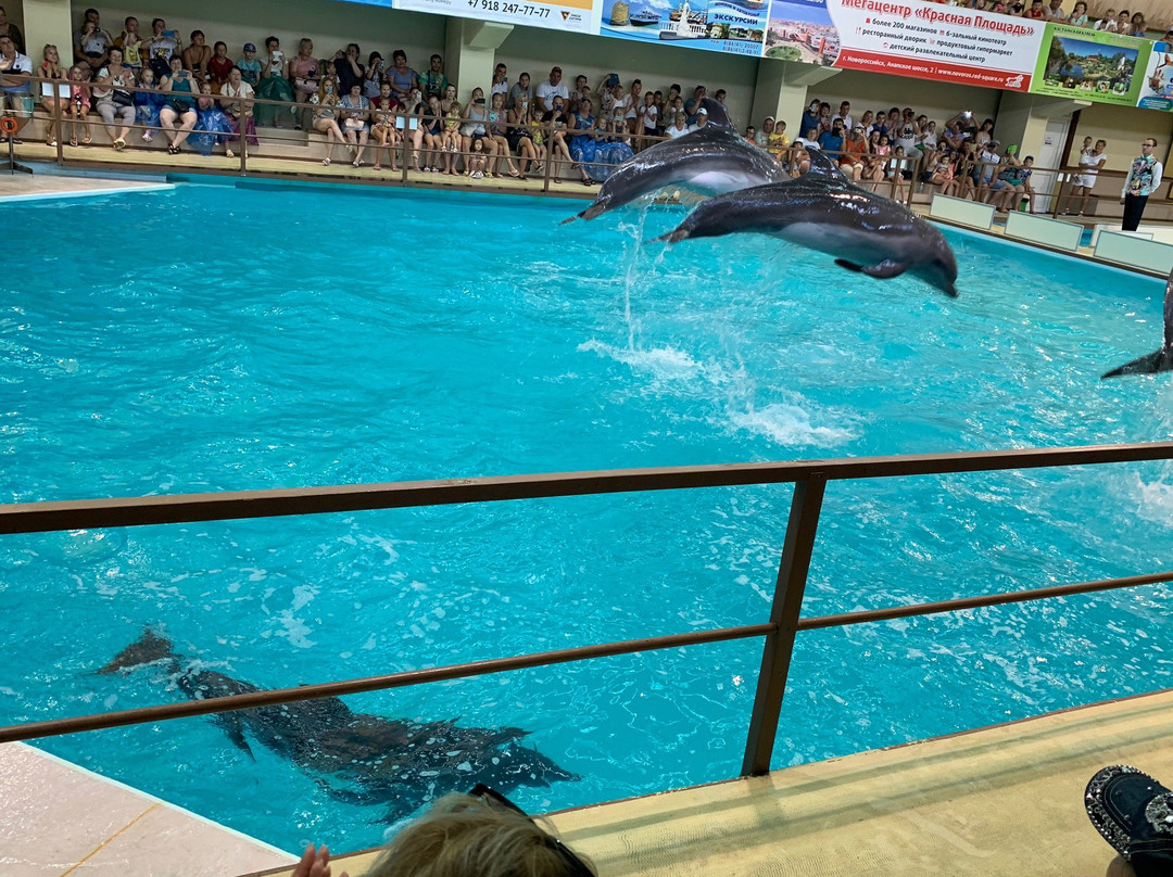 Gelendzhik Dolphinarium-Gelendzhik必去景点