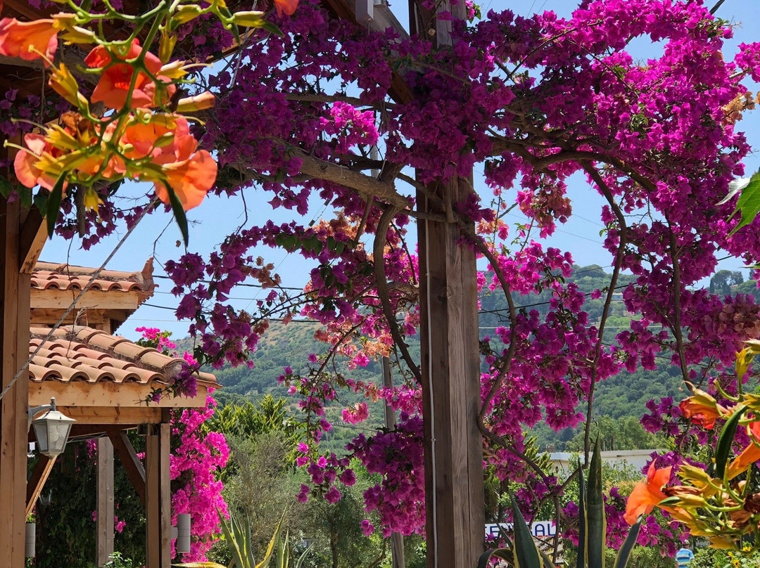 Vasilikos Garden主图