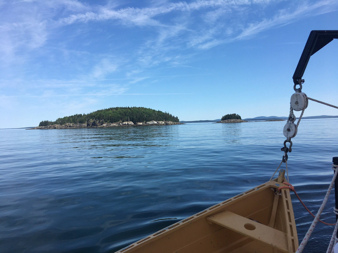 Downeast Windjammer Cruises Lines景点图片