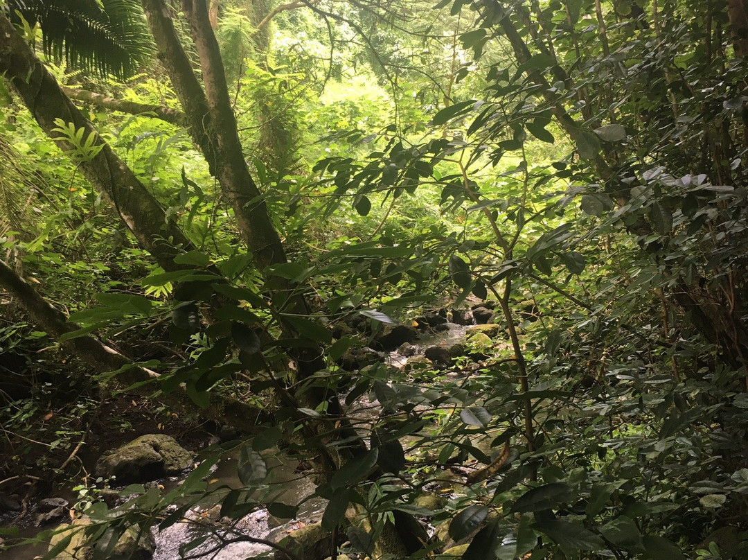 Maunawili Falls-科纳必去景点