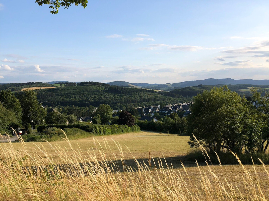 Design Hotel Sauerland主图