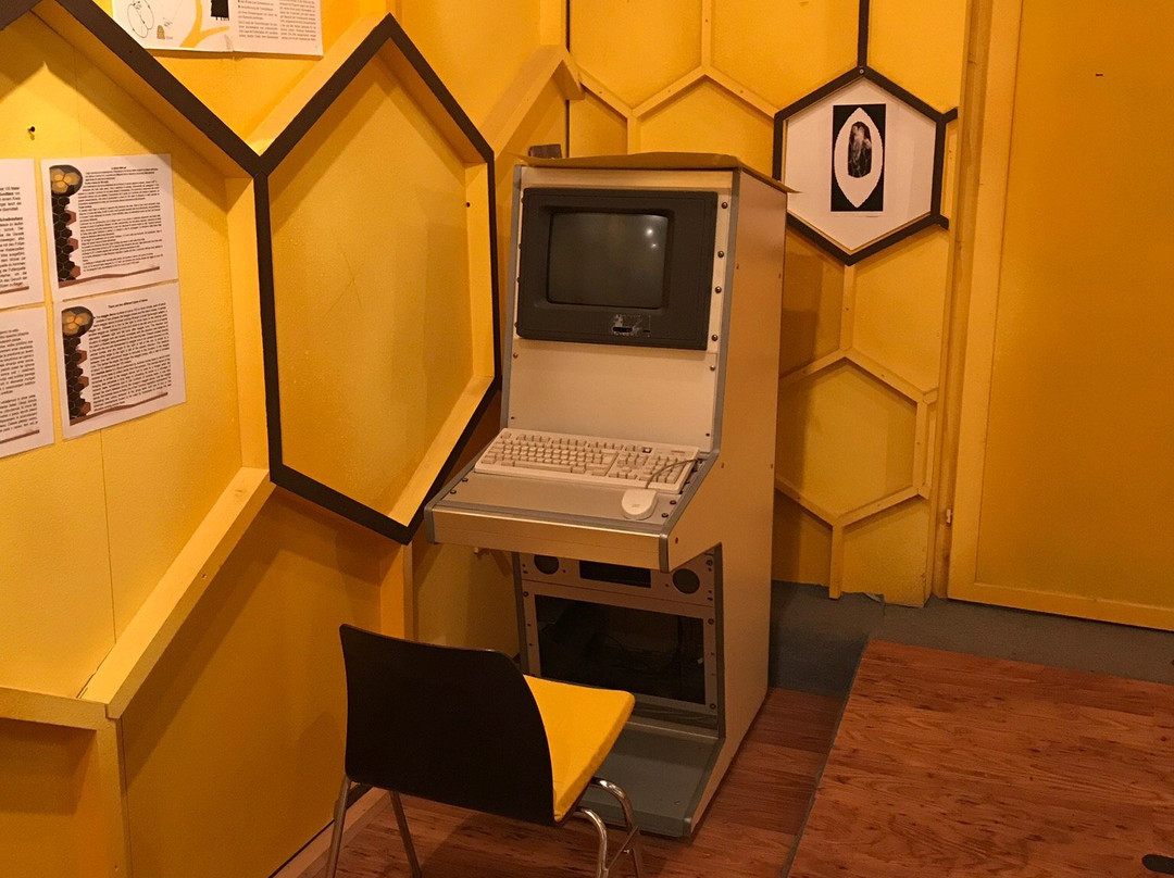 Strau旅游攻略图片