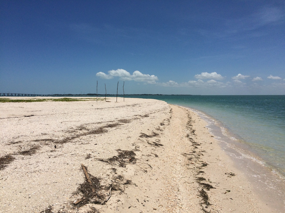 Playa Punta San Julian-卡门城必去景点