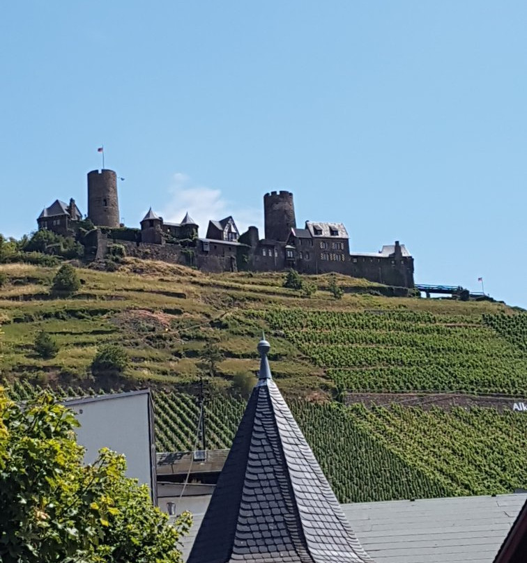 Thurant Castle景点图片