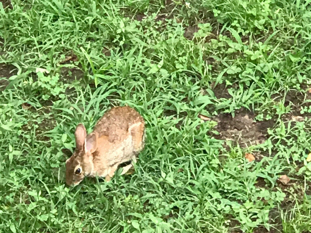 Catawba River Greenway-Morganton必去景点
