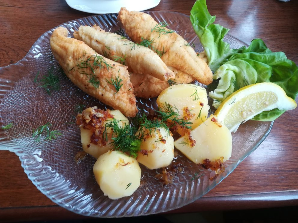 Stepnica旅游攻略图片