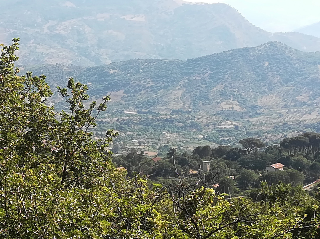 b&b I Frassini主图