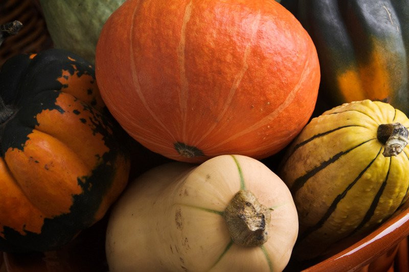 Morning Shade Farm-Canby必去景点