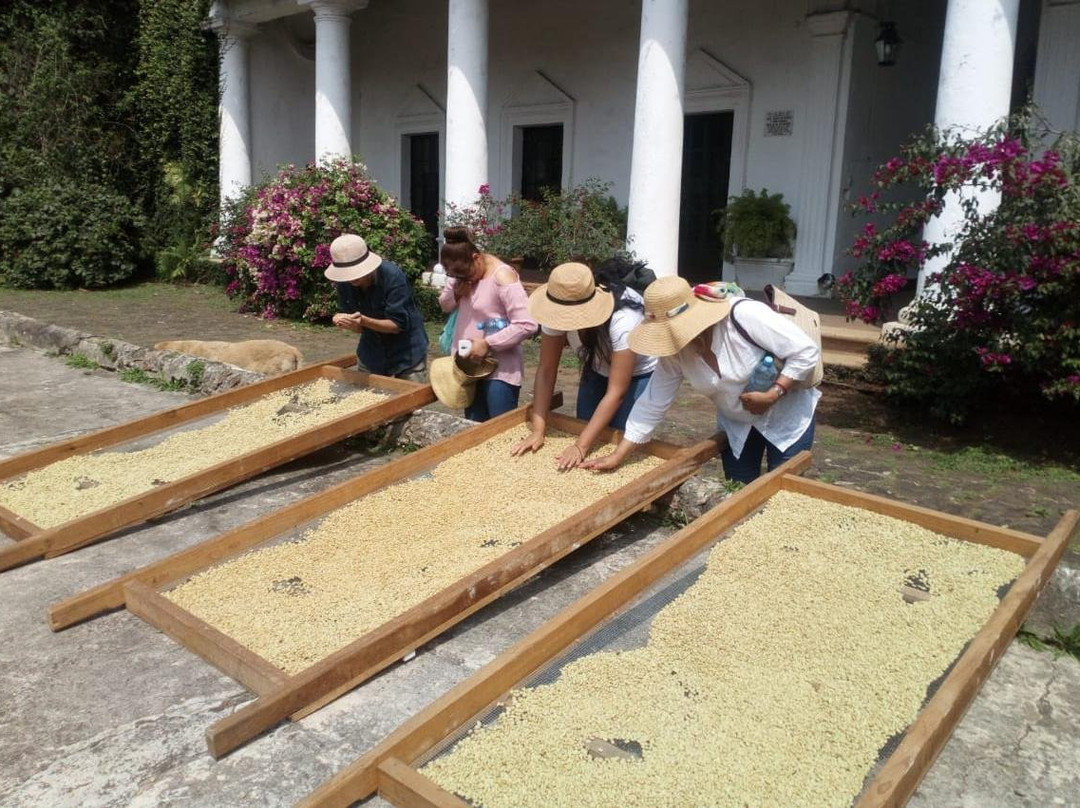 Amphibian Operadora Turistica-韦拉克鲁斯必去景点