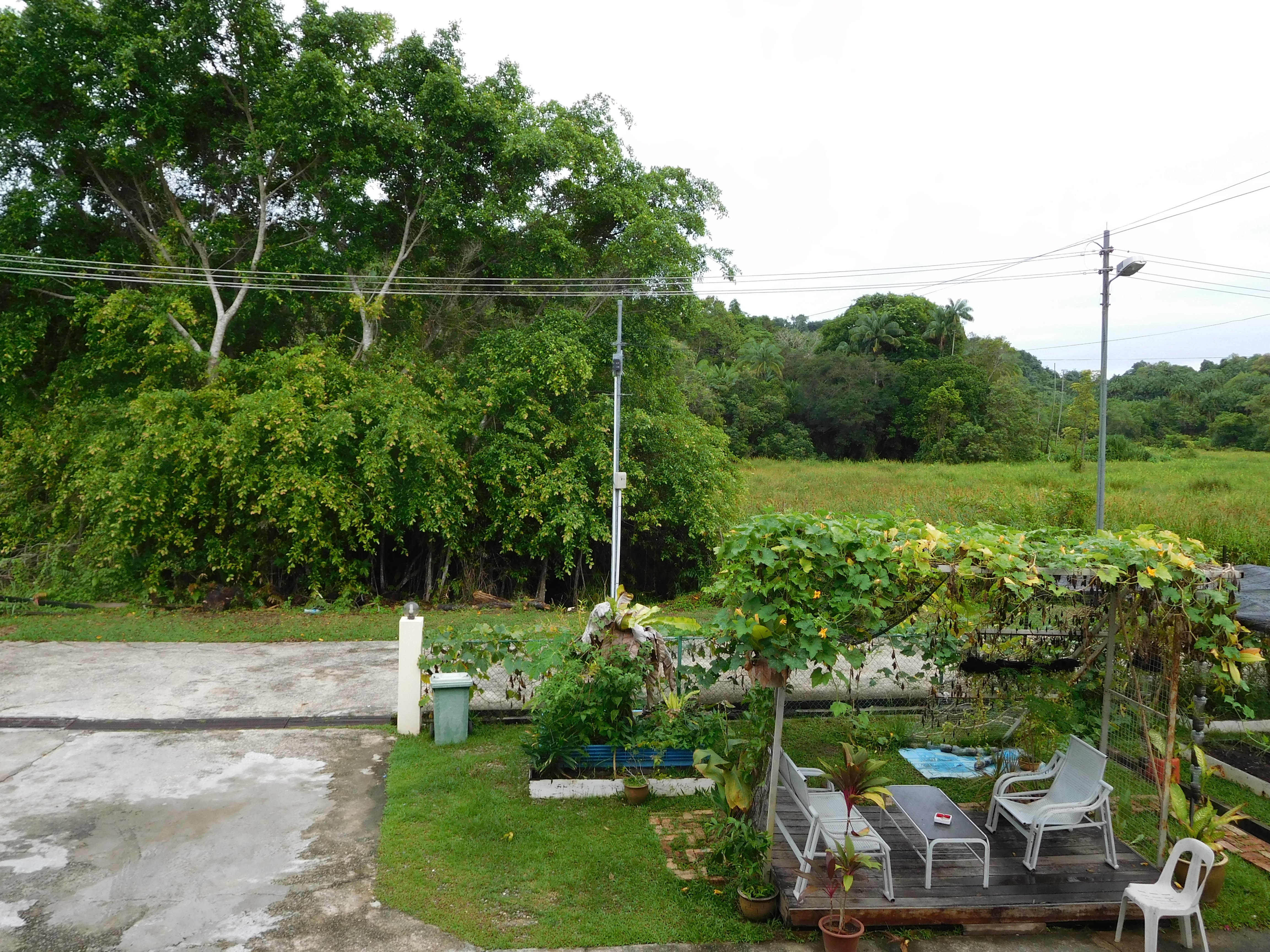 Poni Homestay-酒店景观